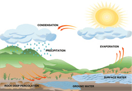 The Water Cycle